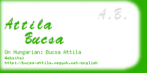 attila bucsa business card